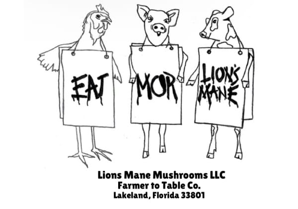 Lion's Mane Mushrooms